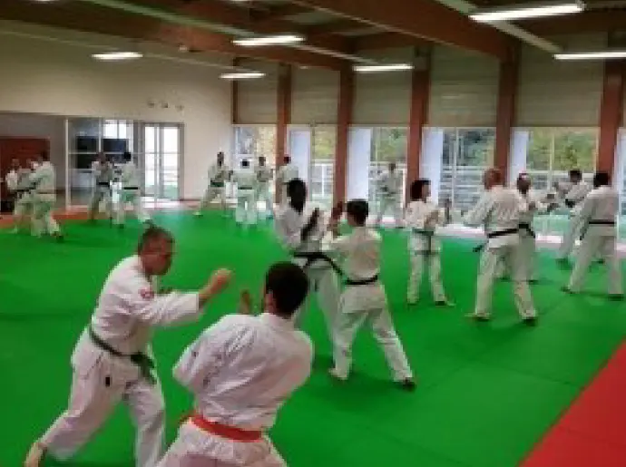 nippon kempo